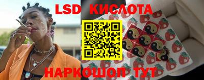 PSILOCYBIN Сланцы