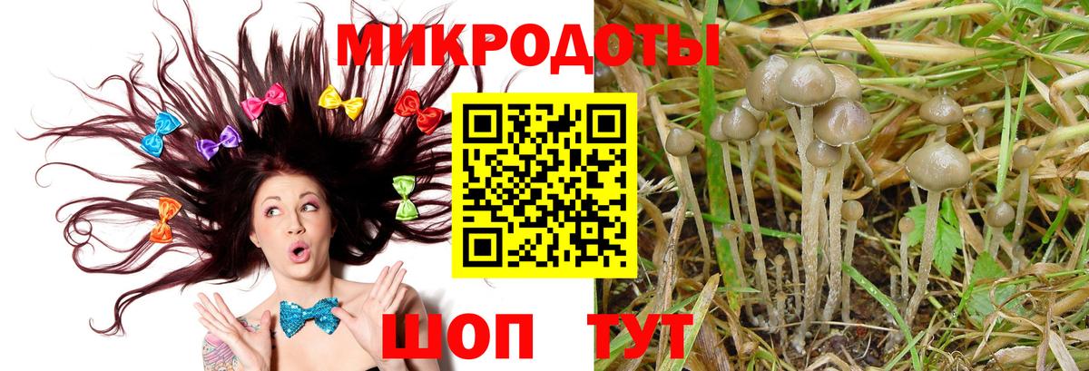 Псилоцибиновые грибы MAGIC MUSHROOMS Тихорецк