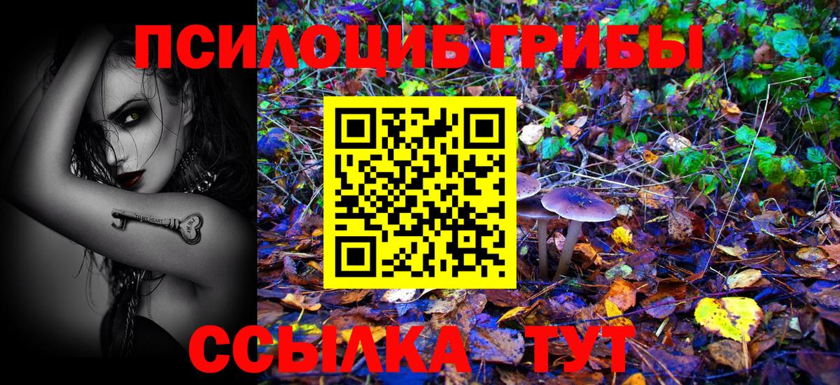 Тихорецк  Галлюциногенные грибы Cubensis  Вход с VPN 